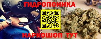 jwh Донской