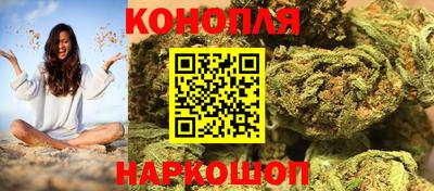 Альфа ПВП Дубна