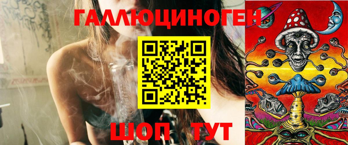 Псилоцибиновые грибы Psilocybine cubensis Магнитогорск